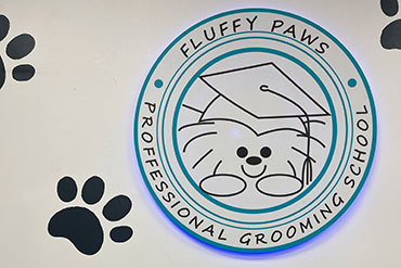 Fluffy Paws